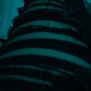 Meet your Posher, Parker